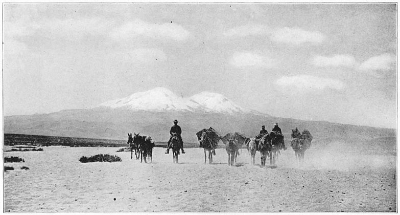 Mt. Coropuna from the Northwest