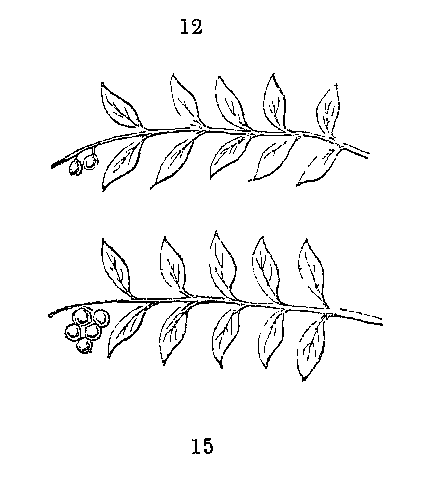 Illustration of '12' & '15'.