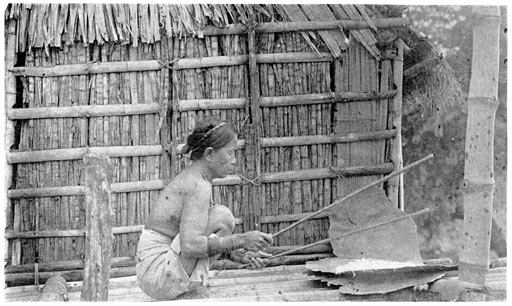 Beating Cotton on a Carabao Hide.