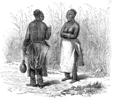 Chitapangwa's Wives.