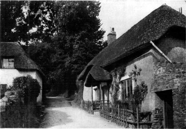 OLD COTTAGES AT COCKINGTON.