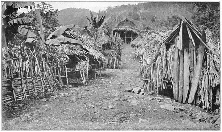 Village of Biave, with Chief’s Emone at End and Burial Platform of Chief’s Child in Middle.