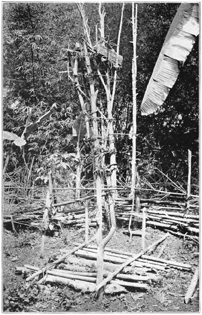 Platform Grave of Chief’s Child at Back. Ordinary Grave in Front.