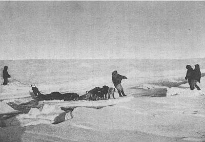 CROSSING A LEAD ON AN ICE-CAKE AS A FERRY-BOAT