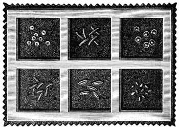 FIG. 241. TRAY TO CONTAIN THE MATERIALS.