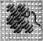 FIG. 270. FLORENTINE STITCH.