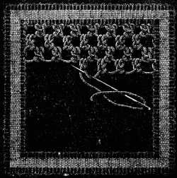 FIG. 732. THIRTEENTH LACE STITCH.