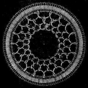 FIG. 764. FILLING IN A ROUND SPACE WITH NET STITCH.