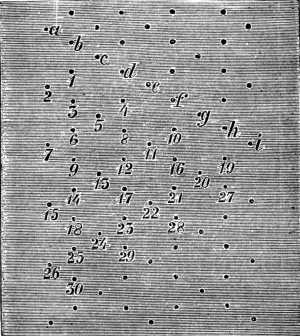 FIG. 791. PATTERN FOR ROSE GROUND.