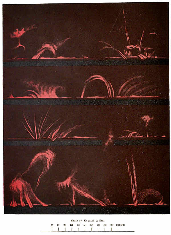 PLATE IV. SOLAR PROMINENCES.