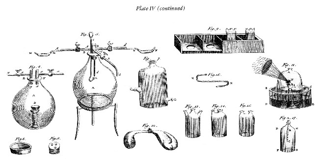 Plate IV (continued)