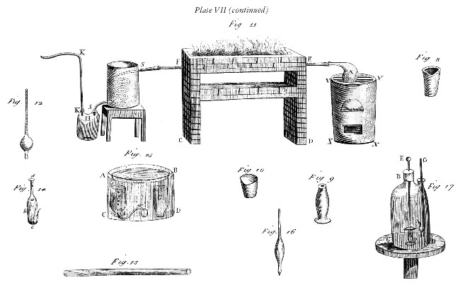 Plate VII (continued)