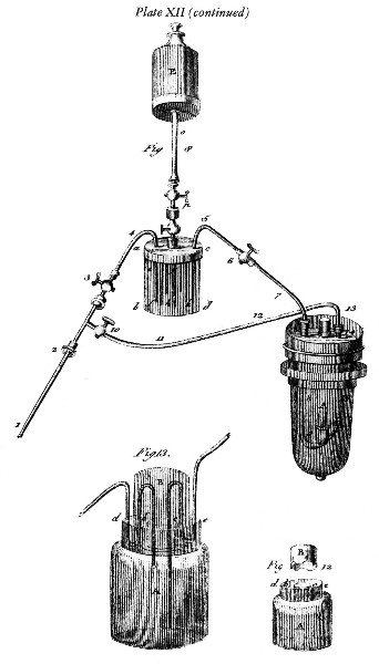 Plate XII (continued)