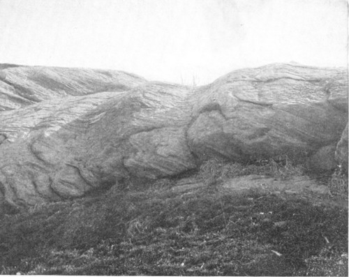 Glacial grooves in the South Meadow, Central Park, New York