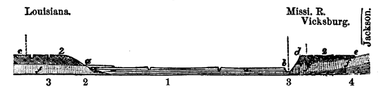 Modern alluvium of Mississippi.