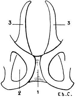 Fig. 45