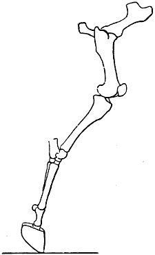 Fig. 55