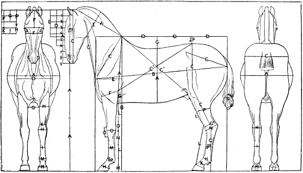 Fig. 106