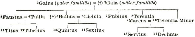 Family diagram 1