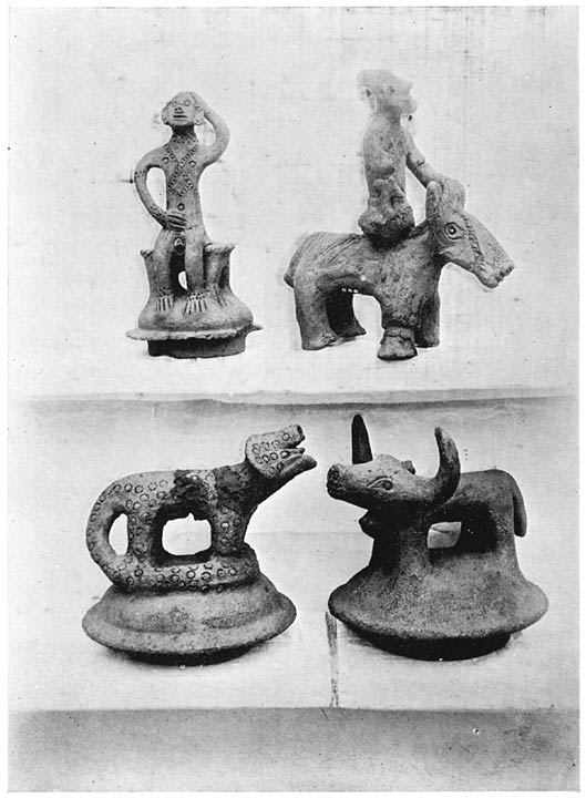 Figures from Nilgiri Cairns.