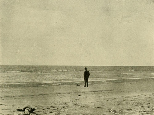 Gulf of Calfornia at the Mouth of the Colorado.