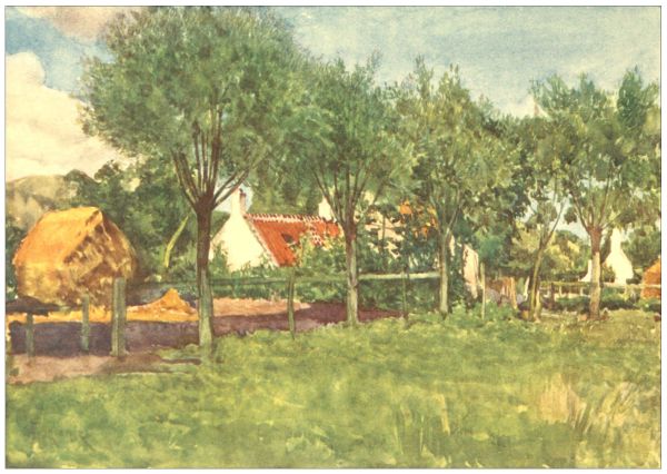 A FARMSTEADING