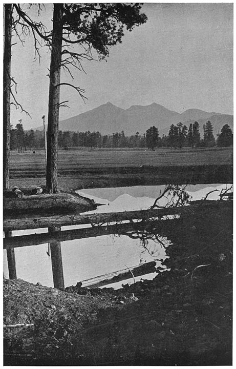 Plate II. SAN FRANCISCO MOUNTAIN (DOKOSLÍD), ARIZONA.56