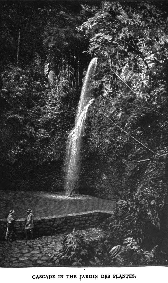 Cascade in the Jardin Des Plantes. 