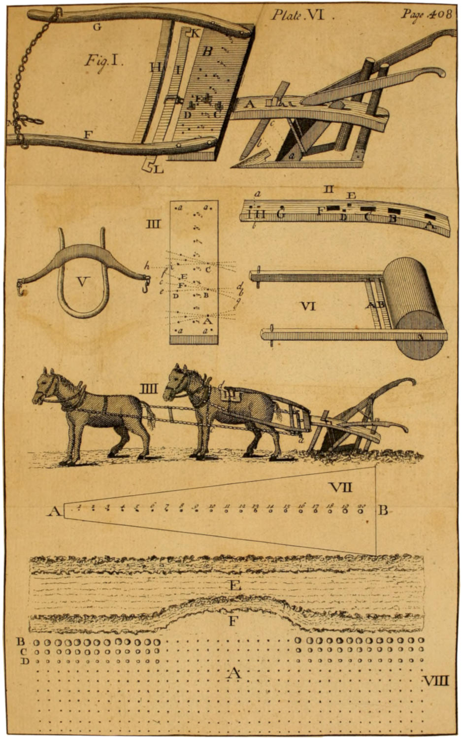 Plate 6