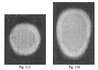 Fig.115. Round germinative area of the rabbit. Fig. 116. Oval area, with the opaque whitish border of the dark area without.