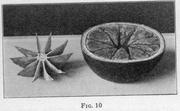 [Illustration: FIG. 10]